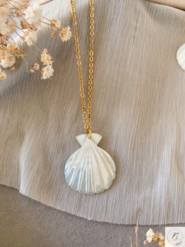 Ida Shell - Image 2
