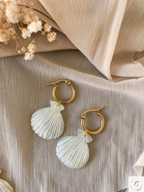 Ida Shell - Image 3