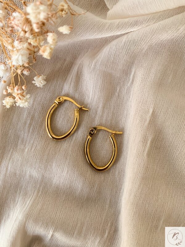 Oval Hoops