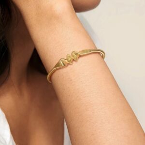 Venus Stainless Steel Bangle