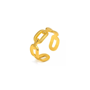Everyday Ring - Chain
