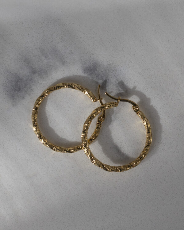 Ilona Hoops - Image 3